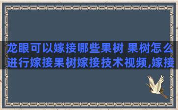 龙眼可以嫁接哪些果树 果树怎么进行嫁接果树嫁接技术视频,嫁接方法图解